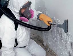 Reliable Cadiz, KY Mold Prevention & Removal  Solutions